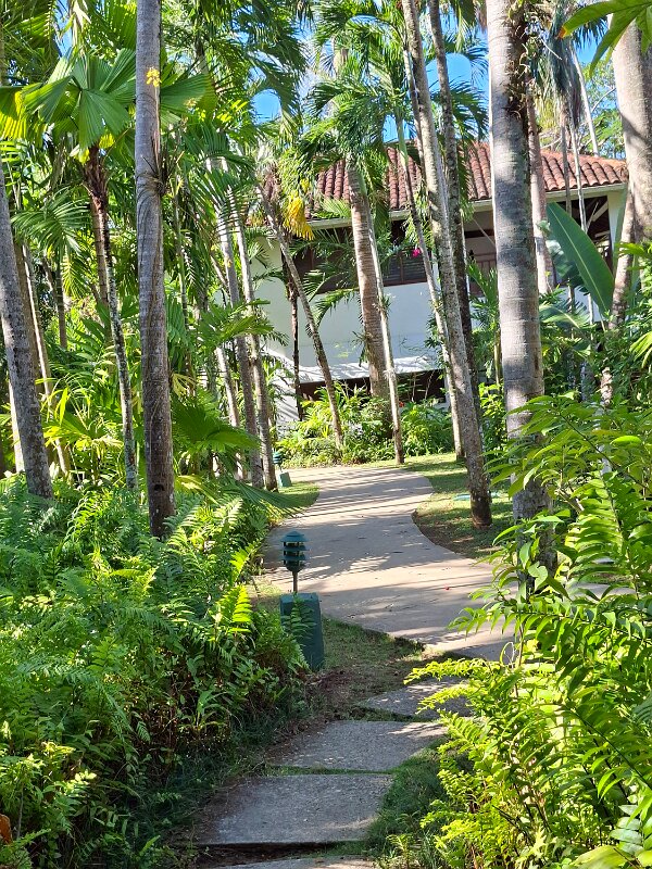 Path through the gardens
